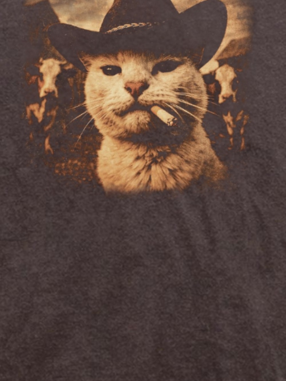 Cat Cowboy Graphic T-Shirt in Dark Brown - Picture 2 of 2